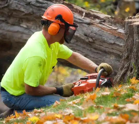 tree services West End